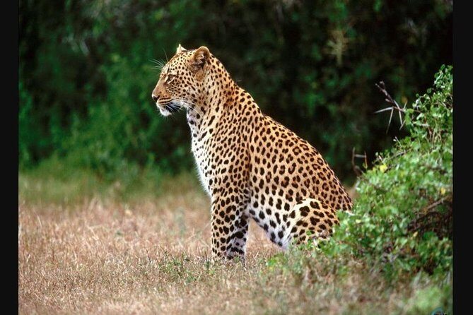 Cape Town to Durban & Garden Route - 7 day Private Safari - FAQ