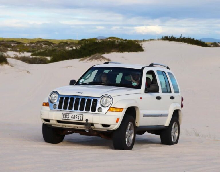 CAPE TOWN: ULTIMATE SANDBOARDING ATLANTIS DUNES WITH WILDX - The Experience on the Dunes