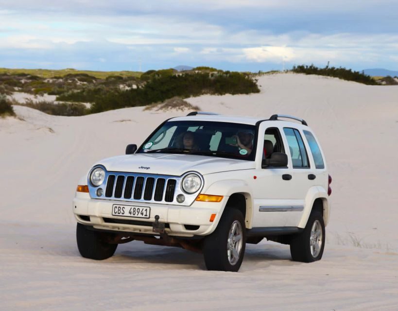 CAPE TOWN: ULTIMATE SANDBOARDING ATLANTIS DUNES WITH WILDX - The Experience on the Dunes