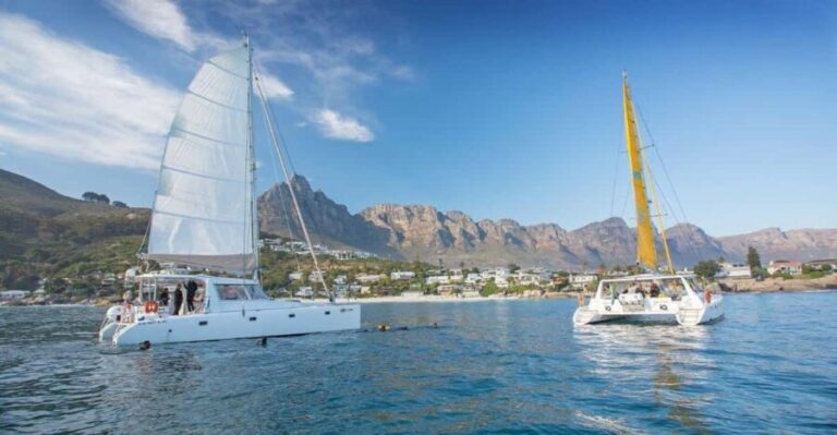 Cape Town: V&A Waterfront 1-Hour Scenic Cruise - The Scenic Highlights