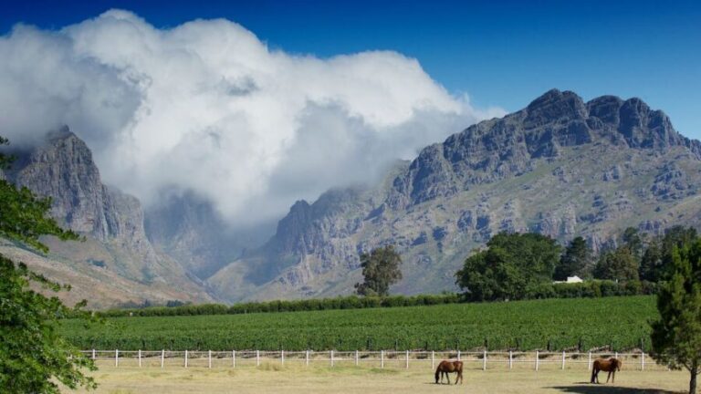 Cape Town Wine Tour (Paarl, Stellenbosch & Franschhoek) - Who Will Appreciate This Tour?