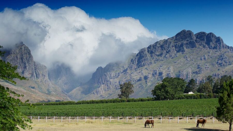 Cape Town Wine Tour (Paarl, Stellenbosch & Franschhoek) - Who Will Appreciate This Tour?