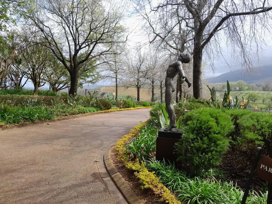 Cape Town: Winelands Private Tour
