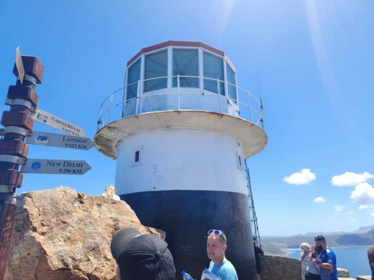 Cape Town:Swim with Penguins at Boulders &cape of good hope - The Sum Up
