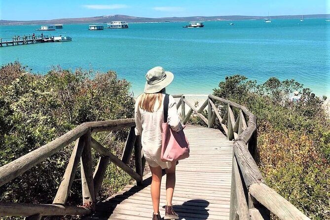 Cape West Coast Flower Tour - What’s the Value?
