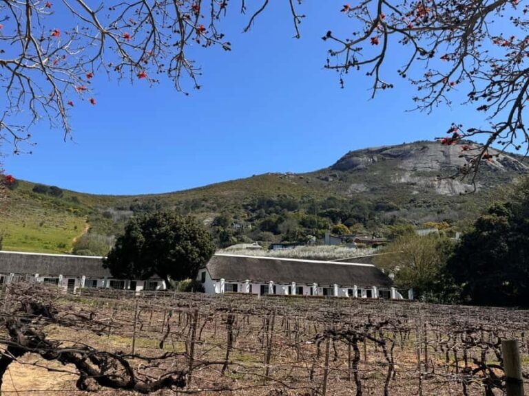 Cape Winelands: Customizable Private Wine Tasting Tour - Who Is This Tour Best For?