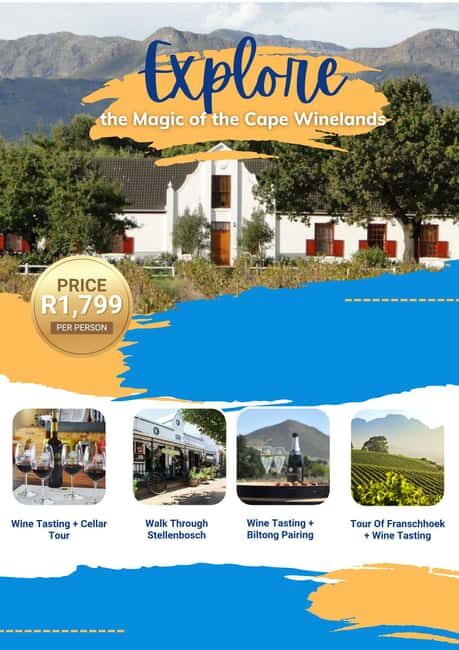 Cape Winelands: Private Full Day Wine Tour - Authentic Experiences and What’s Not Included