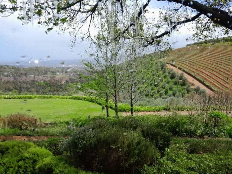 Cape Winelands: Stellenbosch, Franschhoek and Paarl - Authentic Experiences & Real Travelers’ Impressions