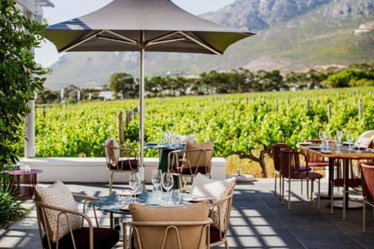 Capetown Private Wine Tour: Manor tour, cellar tour included - The Experience: What Makes It Special