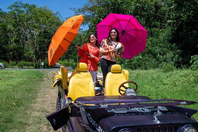 Capture the Culture: IG Jeep Bohol Tour - An In-Depth Look at the Tour