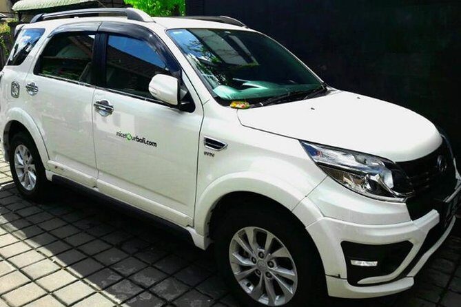 Car charter in Bali with English Speaking Driver - Who Will Love This Tour?