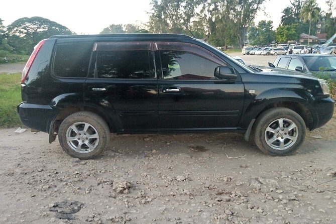 Car Rental in Zanzibar (family Car 7 Pax) - A Practical Guide to Car Rental in Zanzibar