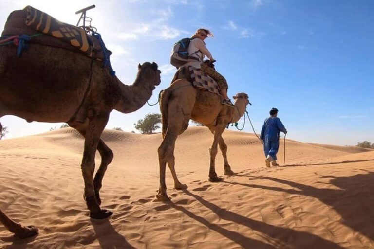 Casablanca: 10-Day Morocco Highlights & Desert Adventure - The Itinerary in Detail