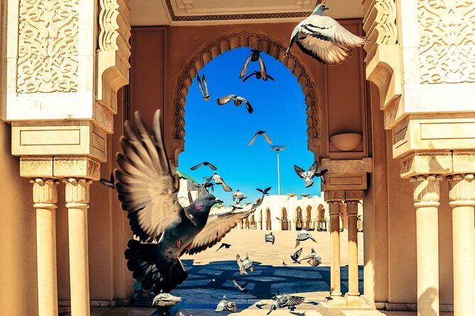 Casablanca City Tour Hassan II Mosque with Ticket Included - Who Will Love This Tour?