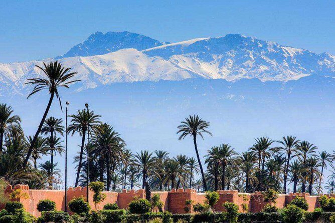 Casablanca to Marrakech Day Trip with Camel Ride - Who Should Consider This Tour?