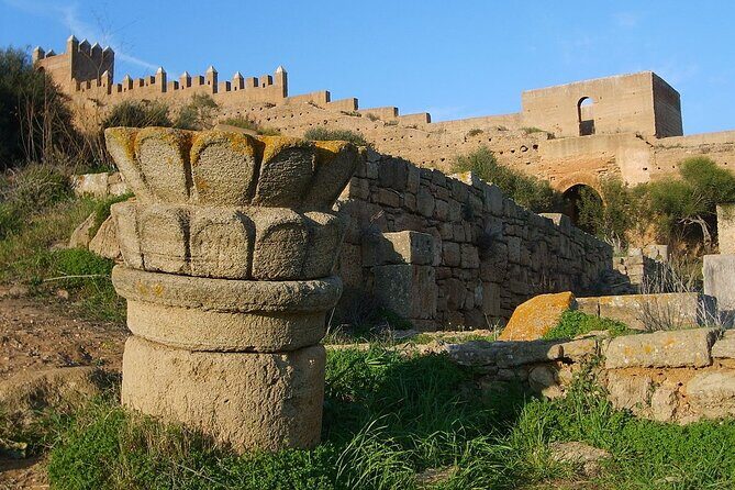Casablanca to Rabat Full-Day Trip - Transport and Comfort