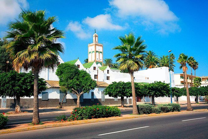 Casablanca Tour from Marrakech - Who Is This Tour Best For?