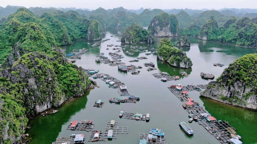 Cat Ba: Lan Ha Bay Halfday Cruise with Kayaking - What’s the Value?