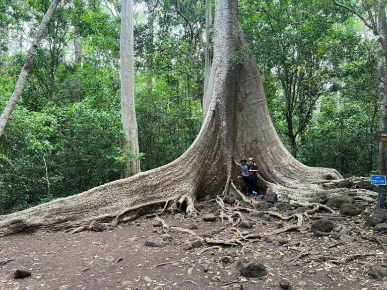 Cat Tien National Park Cycling Tour With Tri An Lake Camping - Practical Details and Value