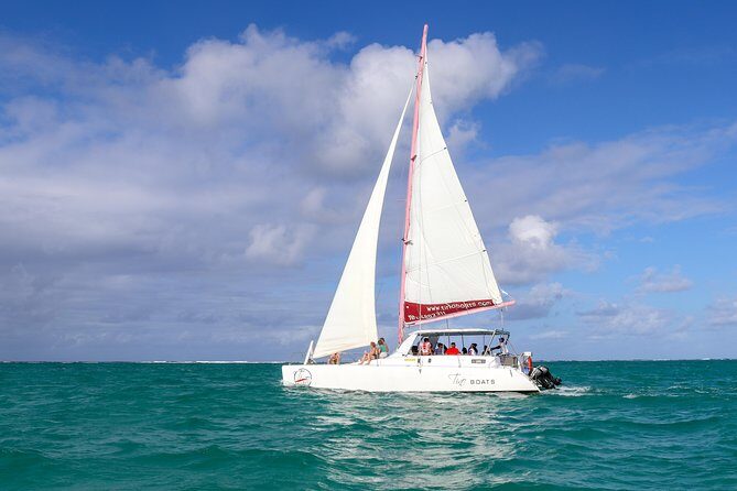 Catamaran cruise to Ile aux cerfs with bbq lunch - The Experience: Authentic and Enjoyable