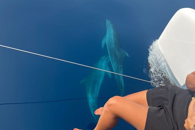 Catamaran Half Day - Beautiful day on the Atlantic Ocean - What Makes This Catamaran Trip Special?