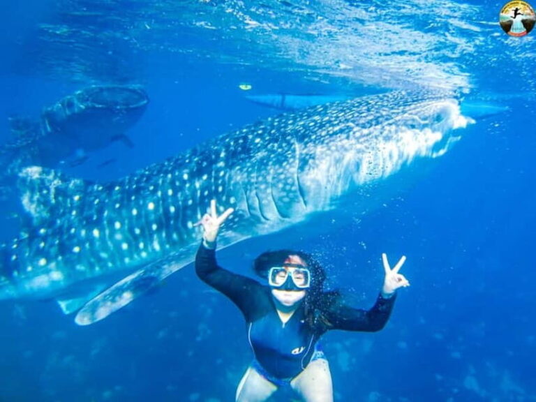 Cebu: 2-Day Island-Hopping, Canyoneering, and Whale Shark - Final Thoughts: Who Will Love This Tour?