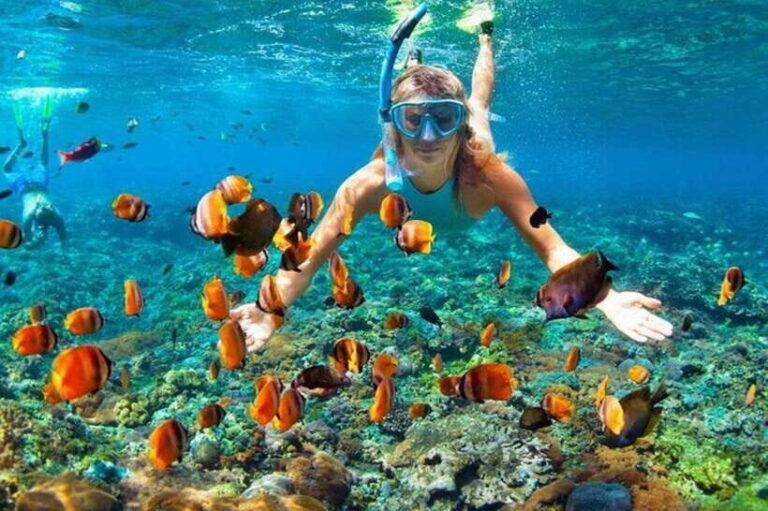 Cebu: Mactan Island Hopping Tour with Snorkeling - What’s Included and What’s Not