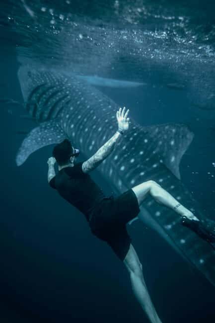 Cebu Oslob Whale Shark Swimming & Kawasan Falls Canyoneering - The Value of the Experience