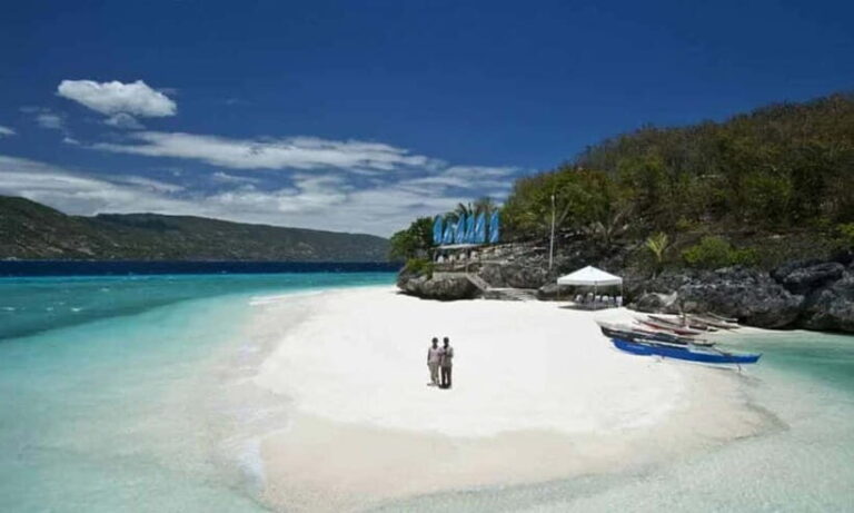 Cebu: Oslob Whale Shark, Tumalog Falls, and Sumilon Sandbar - What’s Included and Why It Matters