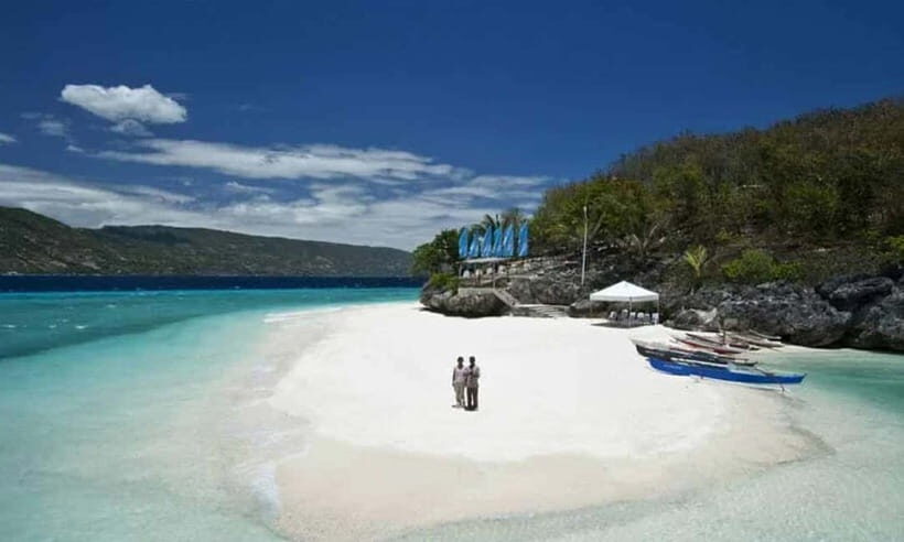 Cebu: Oslob Whale Shark, Tumalog Falls, and Sumilon Sandbar - What’s Included and Why It Matters