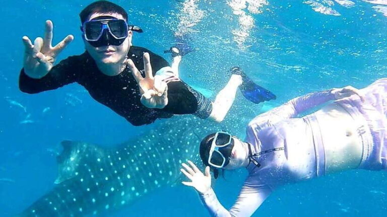 Cebu: Oslob Whale Shark Watching and Inambakan Waterfalls - Is This Tour Worth the Price?
