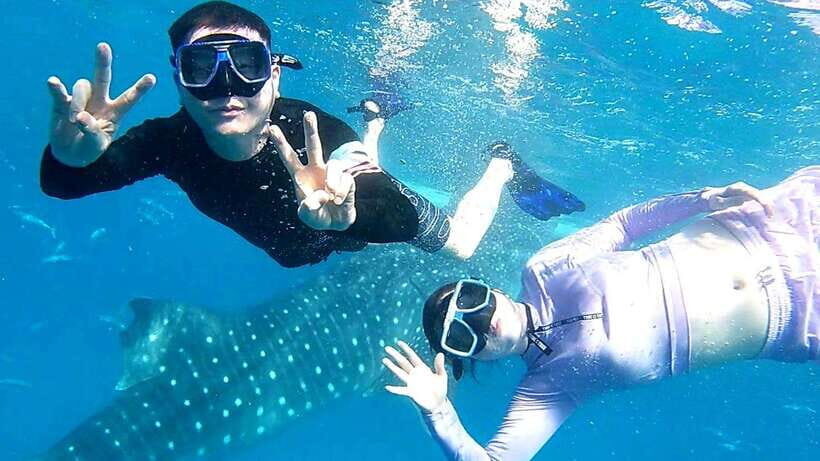 Cebu: Oslob Whale Shark Watching and Inambakan Waterfalls - Is This Tour Worth the Price?