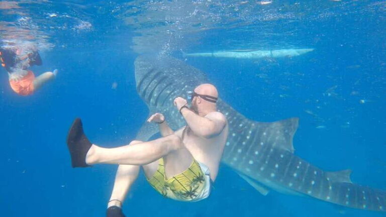 Cebu: Oslob Whaleshark & Sardines Run Snorkeling Day Tour - The Itinerary in Detail