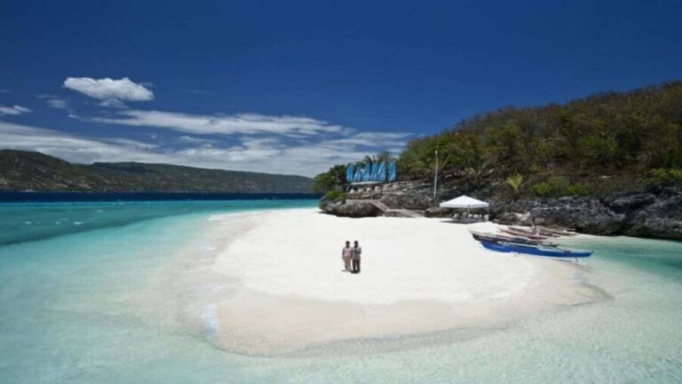 Cebu Oslob Whaleshark, Tumalog Falls&Sumilon Island(Private) - The Practicalities and Value