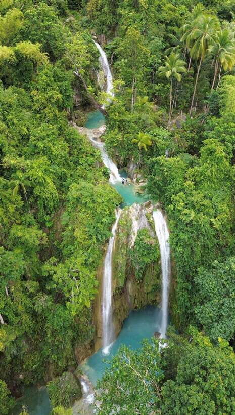 Cebu Oslob WhaleShark,Inambakan Falls& Moalboal Sardines Run - What the Tour Includes and What to Consider
