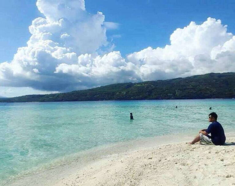 Cebu: Private Sumilon Island & Optional Whale Shark Swim - The Sum Up