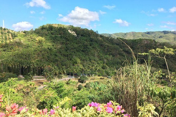 Cebu Safari and Adventure Park - The Animal Encounters: Highlights and Practical Tips