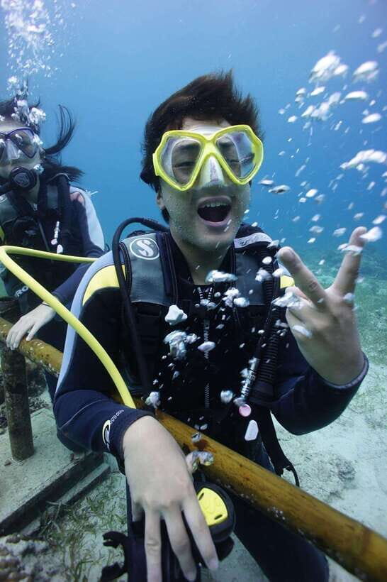 CEBU: Try diving & souvenir underwater photo - The Itinerary - What You Can Expect