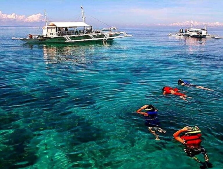 Cebu: Ultimate 3-Day Water Adventure - Day 3: Ethical Whale Shark Encounter & Hidden Waterfalls