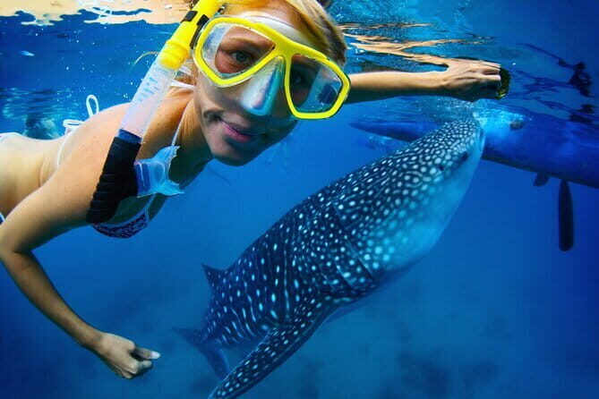 Cebu Ultimate Oslob Whale Shark and Moalboal Turtles Joiner Tour - What Makes This Tour Stand Out