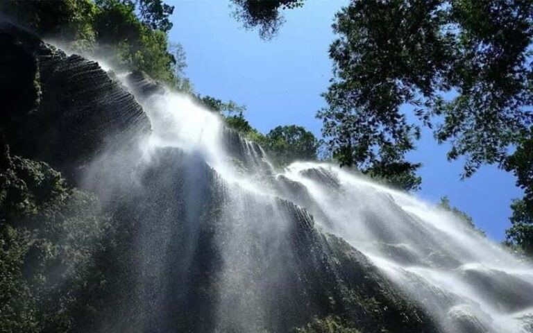 Cebu: Whale Shark, and Sumilon Sandbar and Inambakan Falls - Practical Details and Tips