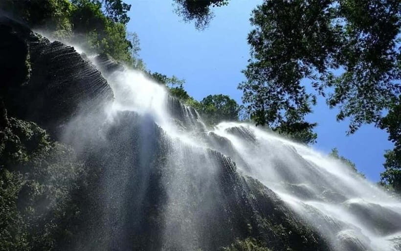 Cebu: Whale Shark, and Sumilon Sandbar and Inambakan Falls - Practical Details and Tips