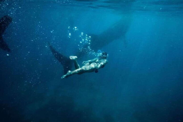 Cebu Whale Shark Swimming & Kawasan Canyoneering Group Tour - In-Depth Look at the Tour Experience