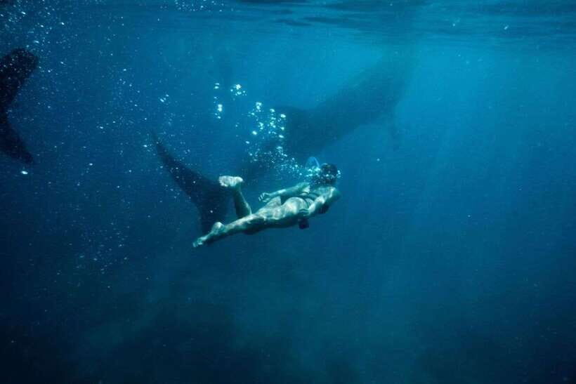 Cebu Whale Shark Swimming & Kawasan Canyoneering Group Tour - In-Depth Look at the Tour Experience