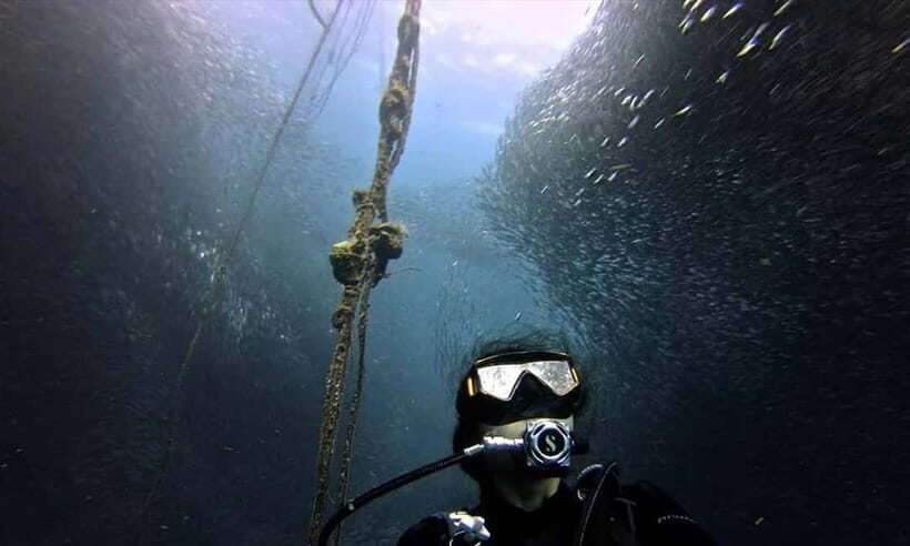 Cebu: Whale Shark, Tumalog, Sumilon, and Moalboal Tour - Logistical Details & Practical Tips