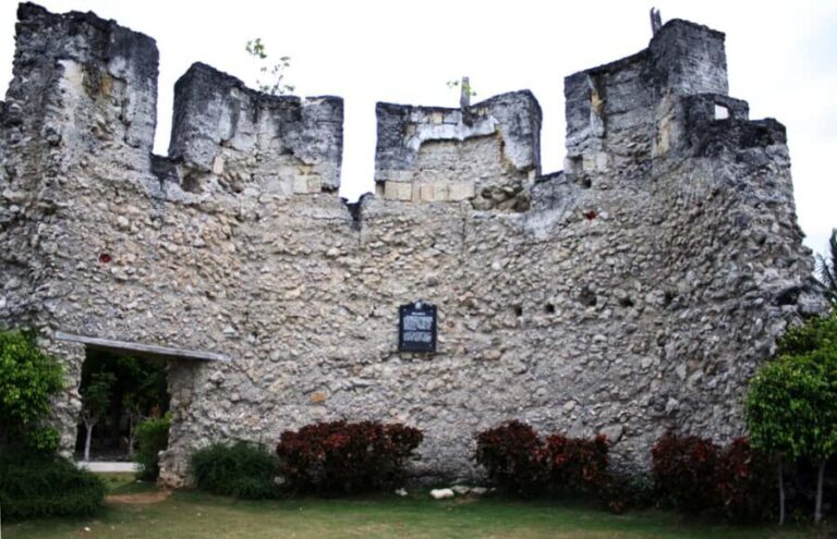 Cebu: Whale Shark Watching & Heritage Tour with Dive Option - Who Will Love This Tour?