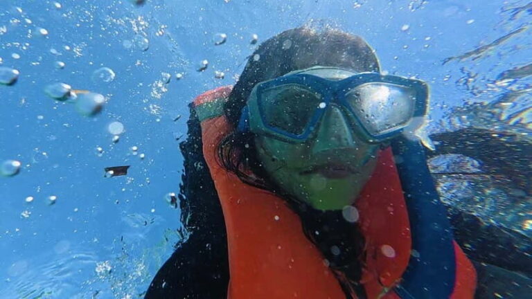 Cebu: Whale Sharks, Kawasan Falls, & Sardines Run Snorkeling - Encountering the Whale Sharks in Oslob