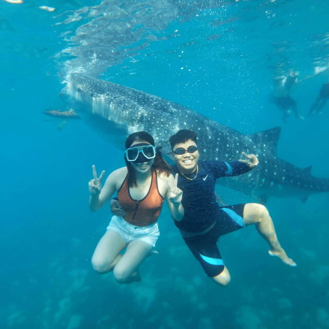 Cebu Whale Sharks Tumalog Falls Sumilon - Whats Included and Whats Not