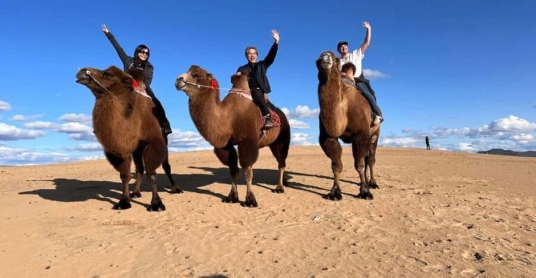 Central Mongolia Guided 3-Day Comfortable Tour - The Practicalities: What’s Included and What to Expect