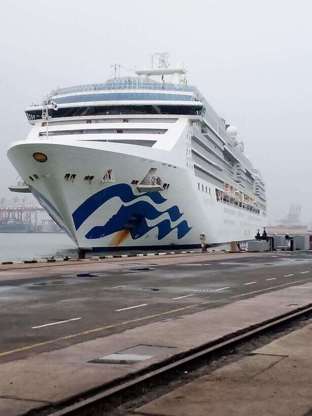 Ceylon Tea Experience from Colombo Port Passenger Terminal - What Makes This Tour Stand Out?